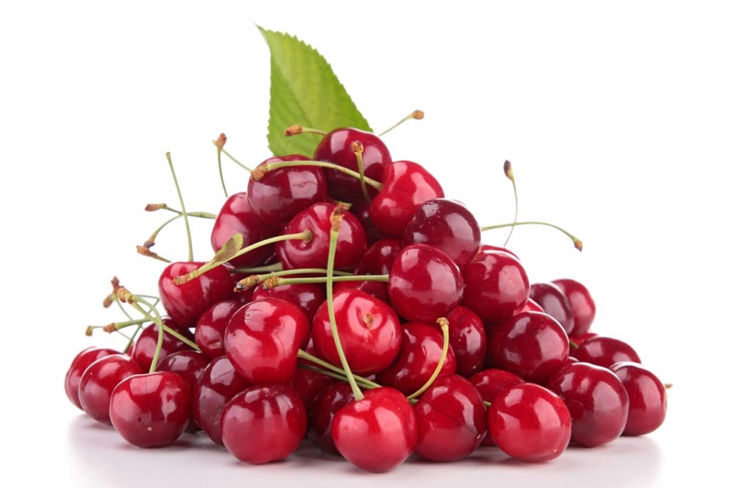 haufen montmorency cherry kirschen